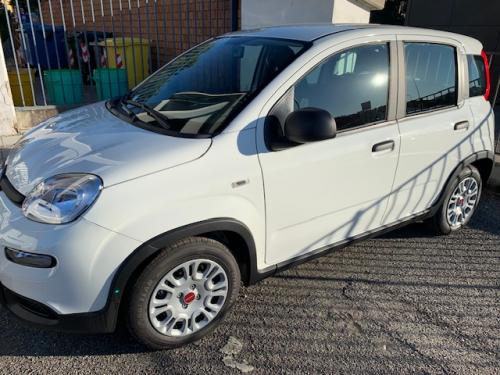 Fiat Panda 1.0 Hybrid (bianco)